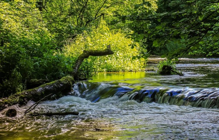 Rzeka Drwęca - szlak wodny - Podróżon
